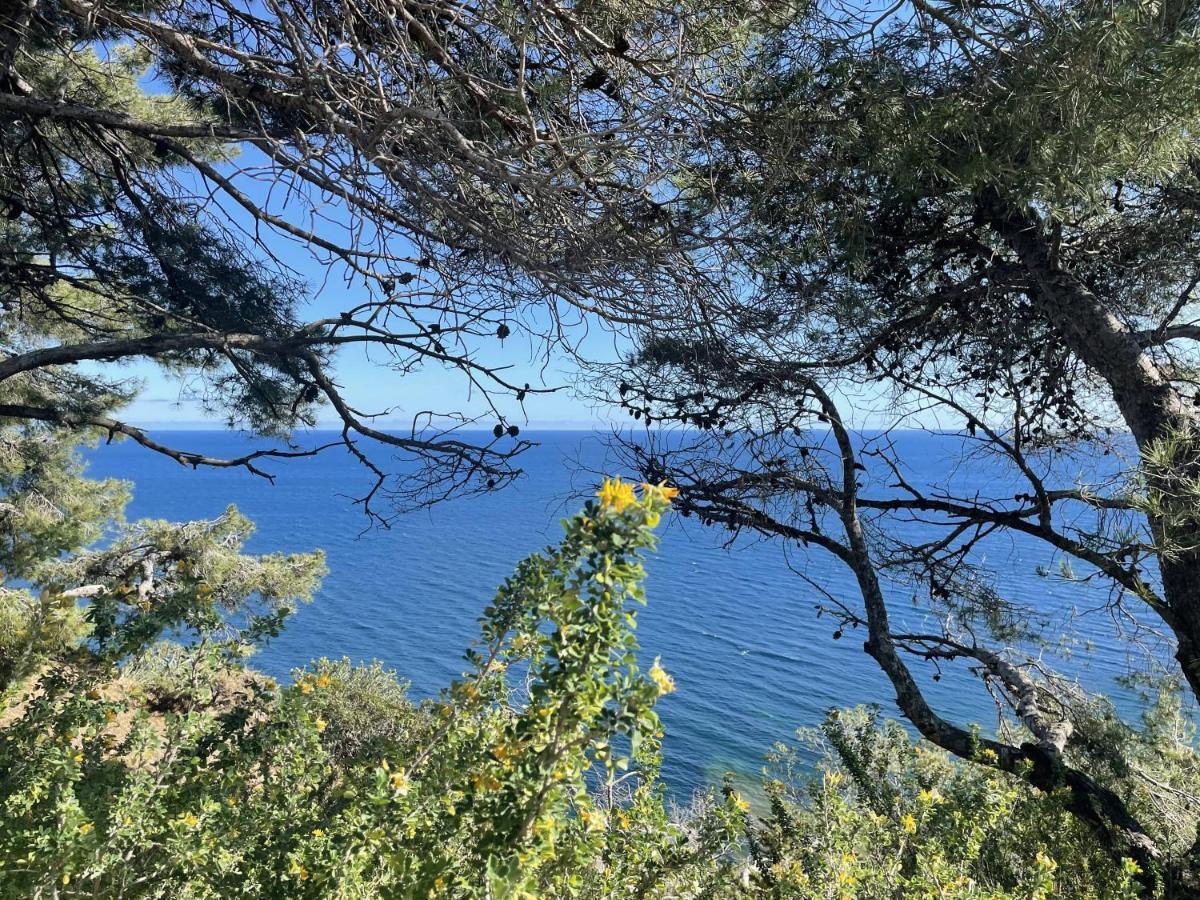 Appartement Mignon Calme Douillet Ascenseur Clim Etage Eleve Proche Parking Et Toutes Commodites Au Coeur Du Toulon Historique Zewnętrze zdjęcie